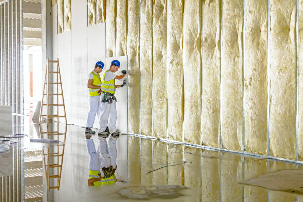 Best Pipe and Duct Insulation  in Belleville, WI