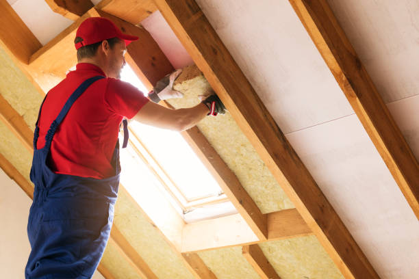 Best Attic Insulation Installation  in Belleville, WI